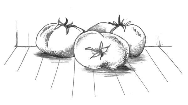 Иллюстрация к книге — Супер сердце. Революционное исследование о связи сердечно-сосудистой системы и питания [i_009.jpg]