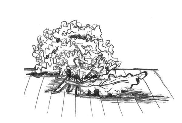 Иллюстрация к книге — Супер сердце. Революционное исследование о связи сердечно-сосудистой системы и питания [i_012.jpg]