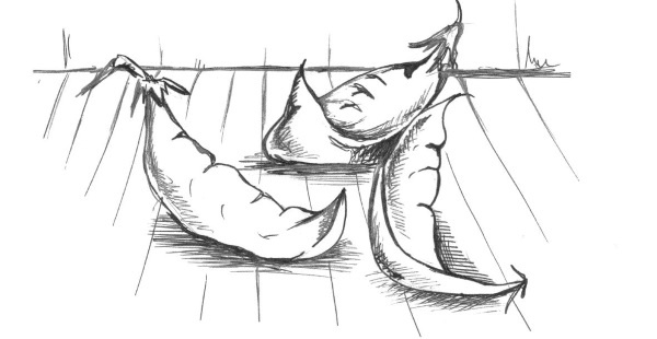 Иллюстрация к книге — Супер сердце. Революционное исследование о связи сердечно-сосудистой системы и питания [i_013.jpg]