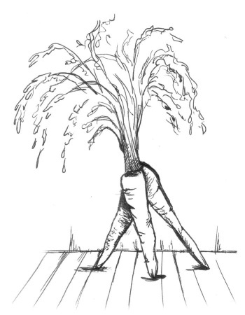 Иллюстрация к книге — Супер сердце. Революционное исследование о связи сердечно-сосудистой системы и питания [i_014.jpg]