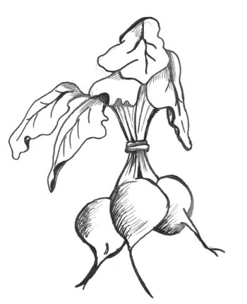 Иллюстрация к книге — Супер сердце. Революционное исследование о связи сердечно-сосудистой системы и питания [i_015.jpg]