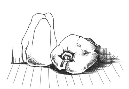 Иллюстрация к книге — Супер сердце. Революционное исследование о связи сердечно-сосудистой системы и питания [i_016.jpg]