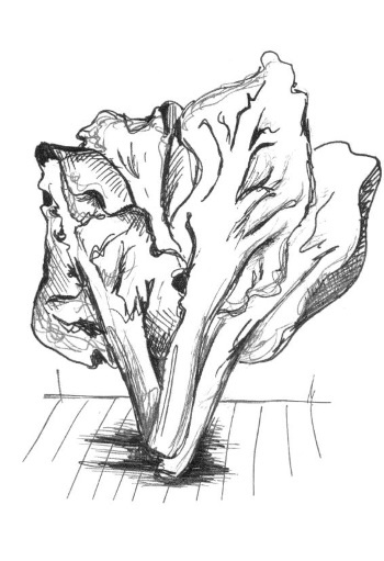 Иллюстрация к книге — Супер сердце. Революционное исследование о связи сердечно-сосудистой системы и питания [i_018.jpg]