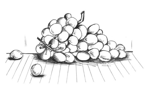 Иллюстрация к книге — Супер сердце. Революционное исследование о связи сердечно-сосудистой системы и питания [i_019.jpg]