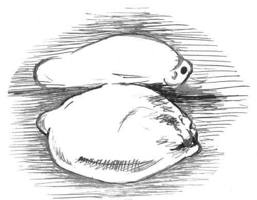 Иллюстрация к книге — Супер сердце. Революционное исследование о связи сердечно-сосудистой системы и питания [i_020.jpg]