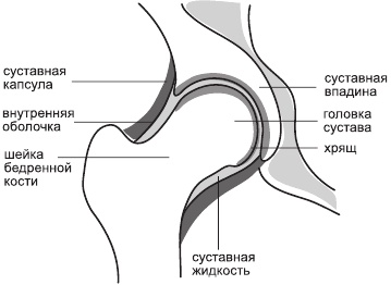 Иллюстрация к книге — Артроз. Самые эффективные методы лечения [Autogen_eBook_id0.jpg]