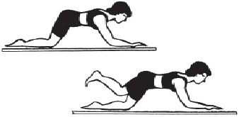 Иллюстрация к книге — Остеопороз. Тихая эпидемия XXI века [Autogen_eBook_id34.jpg]