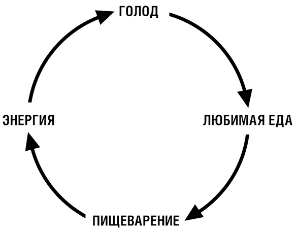 Иллюстрация к книге — Начни худеть сейчас. Легкий способ сбросить вес - теперь еще легче и еще эффективнее (+ СD) [i_010.jpg]