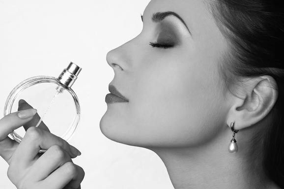 Иллюстрация к книге — Тайны женского мозга. Почему умницы способны на глупости [i_009.jpg]