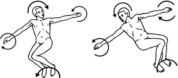 Иллюстрация к книге — Я и мое сердце. Оригинальная методика реабилитации после инфаркта [_20.jpg]