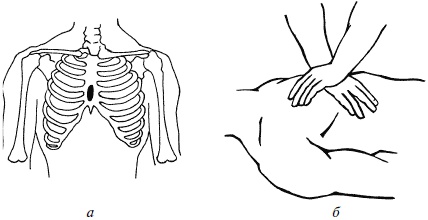 Иллюстрация к книге — Полный медицинский справочник фельдшера [Autogen_eBook_id0.jpg]