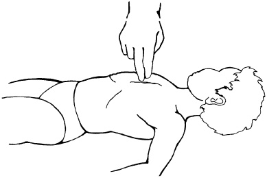 Иллюстрация к книге — Полный медицинский справочник фельдшера [Autogen_eBook_id1.jpg]