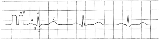 Иллюстрация к книге — Полный медицинский справочник фельдшера [Autogen_eBook_id11.jpg]