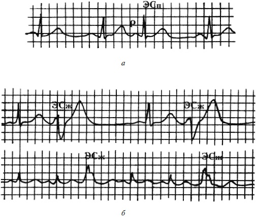 Иллюстрация к книге — Полный медицинский справочник фельдшера [Autogen_eBook_id13.jpg]