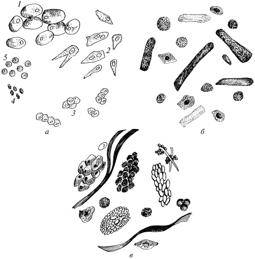 Иллюстрация к книге — Полный медицинский справочник фельдшера [Autogen_eBook_id66.jpg]