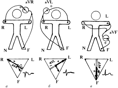 Иллюстрация к книге — Полный медицинский справочник фельдшера [Autogen_eBook_id8.jpg]