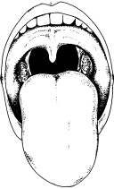 Иллюстрация к книге — Полный медицинский справочник диагностики [_04.jpg]