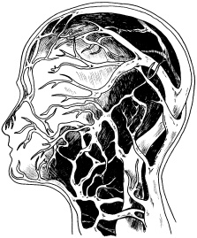 Иллюстрация к книге — Полный медицинский справочник диагностики [_07.jpg]