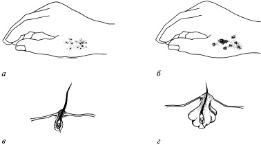 Иллюстрация к книге — Полный медицинский справочник диагностики [_08.jpg]
