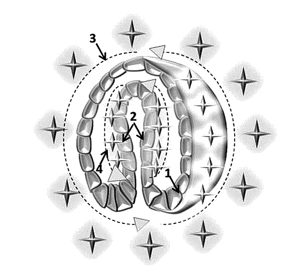 Иллюстрация к книге — Бесплодие – не приговор! [_19.jpg]