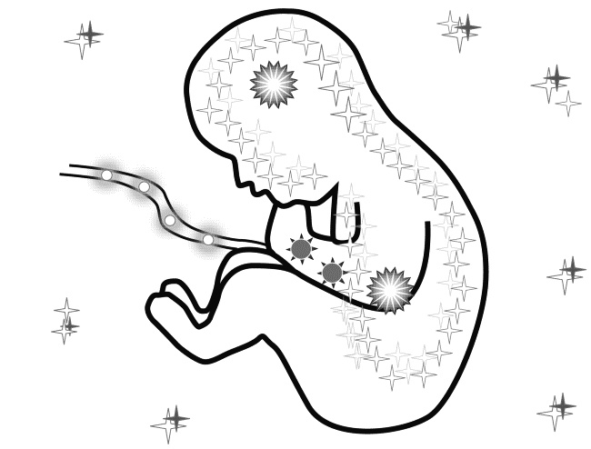 Иллюстрация к книге — Мама и малыш. От рождения до трех лет жизни [_04.jpg]