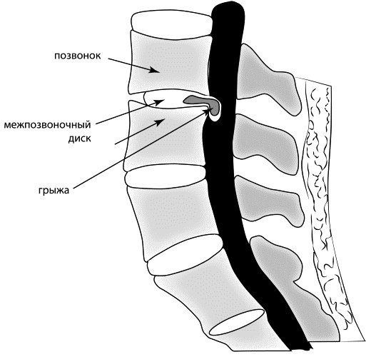 Иллюстрация к книге — Мама и малыш. От рождения до трех лет жизни [_05.jpg]