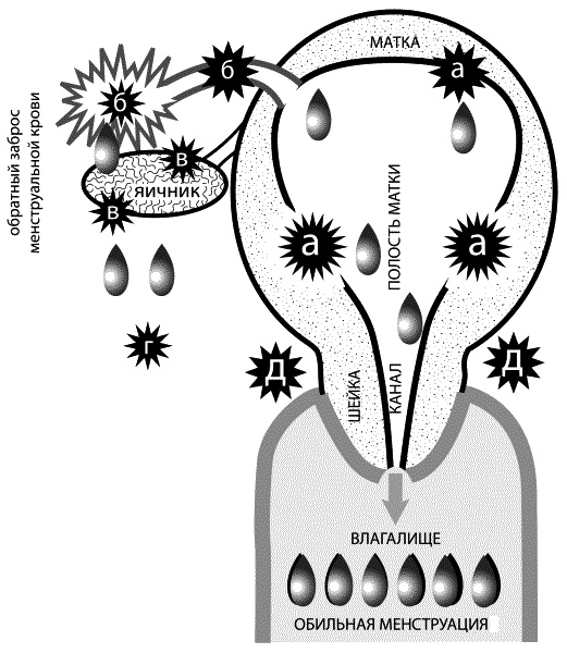 Иллюстрация к книге — Материнство. От зачатия до родов [ris1.jpg]