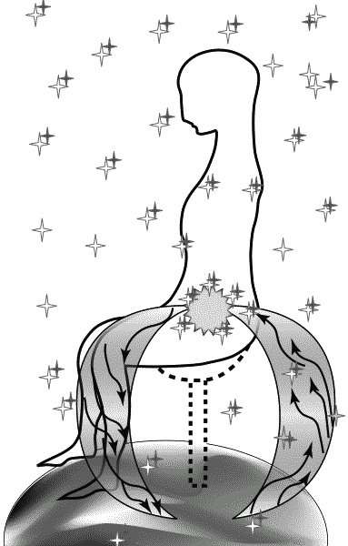 Иллюстрация к книге — Материнство. От зачатия до родов [ris5.jpg]