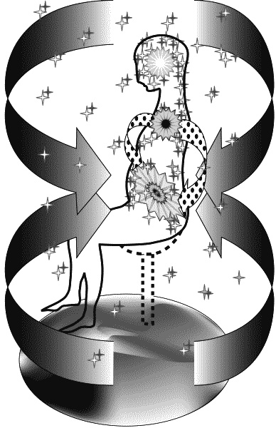 Иллюстрация к книге — Материнство. От зачатия до родов [ris8.jpg]