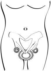 Иллюстрация к книге — Путь здоровья [_04.jpg]