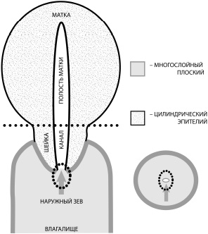 Иллюстрация к книге — Путь здоровья [_12.jpg]