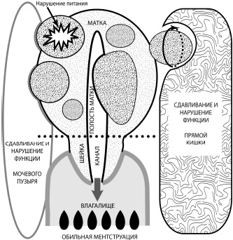 Иллюстрация к книге — Путь здоровья [_17.jpg]