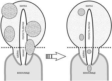 Иллюстрация к книге — Путь здоровья [_18.jpg]