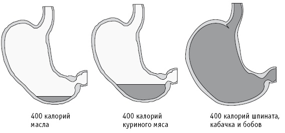 Иллюстрация к книге — Питание как основа здоровья. Самый простой и естественный способ за 6 недель восстановить силы организма и сбросить лишний вес [i_036.jpg]