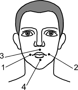 Иллюстрация к книге — Гипертонии - нет! Снижение давления без лекарств [i_023.jpg]