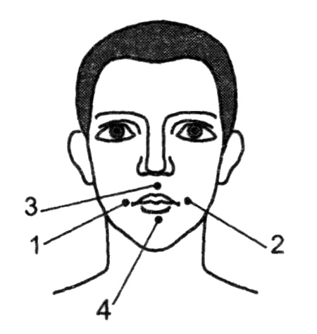 Иллюстрация к книге — Вегетососудистая дистония. Избавиться навсегда! [i_017.jpg]