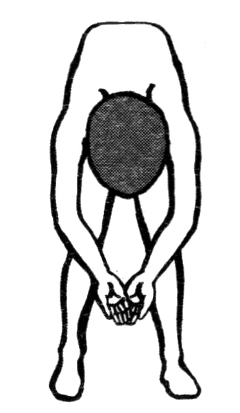 Иллюстрация к книге — Вегетососудистая дистония. Избавиться навсегда! [i_020.jpg]