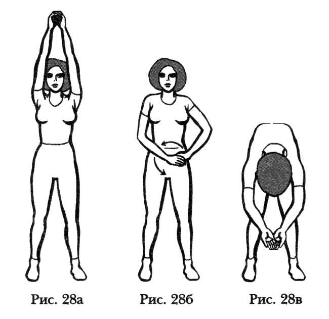 Иллюстрация к книге — Вегетососудистая дистония. Избавиться навсегда! [i_028.jpg]