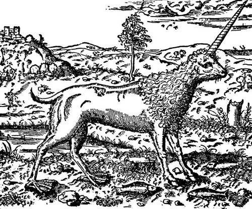 Иллюстрация к книге — От знахаря до врача. История науки врачевания [i_103.jpg]