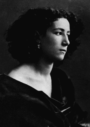 Иллюстрация к книге — Женская гениальность. История болезни [_38.jpg]