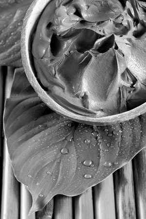 Иллюстрация к книге — Отложение солей. Диагностика и лечение [i_038.jpg]