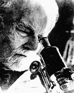 Иллюстрация к книге — Многоликий вирус. Тайны скрытых инфекций [i_006.jpg]