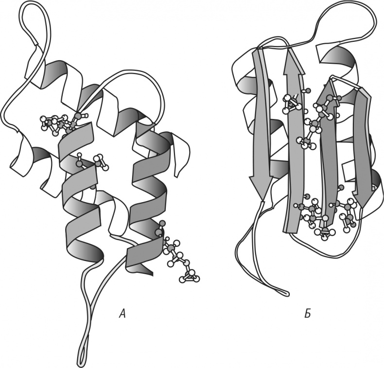 Иллюстрация к книге — Многоликий вирус. Тайны скрытых инфекций [i_020.jpg]