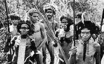 Иллюстрация к книге — Многоликий вирус. Тайны скрытых инфекций [i_038.jpg]