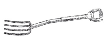 Иллюстрация к книге — Все об обрезке и прививке деревьев и кустарников [Autogen_eBook_id10.jpg]