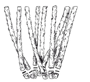 Иллюстрация к книге — Все об обрезке и прививке деревьев и кустарников [Autogen_eBook_id100.jpg]