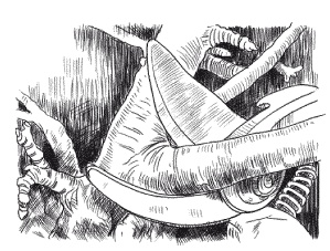 Иллюстрация к книге — Все об обрезке и прививке деревьев и кустарников [Autogen_eBook_id13.jpg]