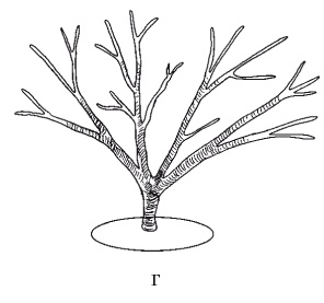 Иллюстрация к книге — Все об обрезке и прививке деревьев и кустарников [Autogen_eBook_id54.jpg]
