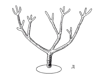 Иллюстрация к книге — Все об обрезке и прививке деревьев и кустарников [Autogen_eBook_id55.jpg]