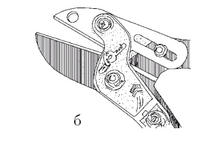 Иллюстрация к книге — Все об обрезке и прививке деревьев и кустарников [Autogen_eBook_id8.jpg]